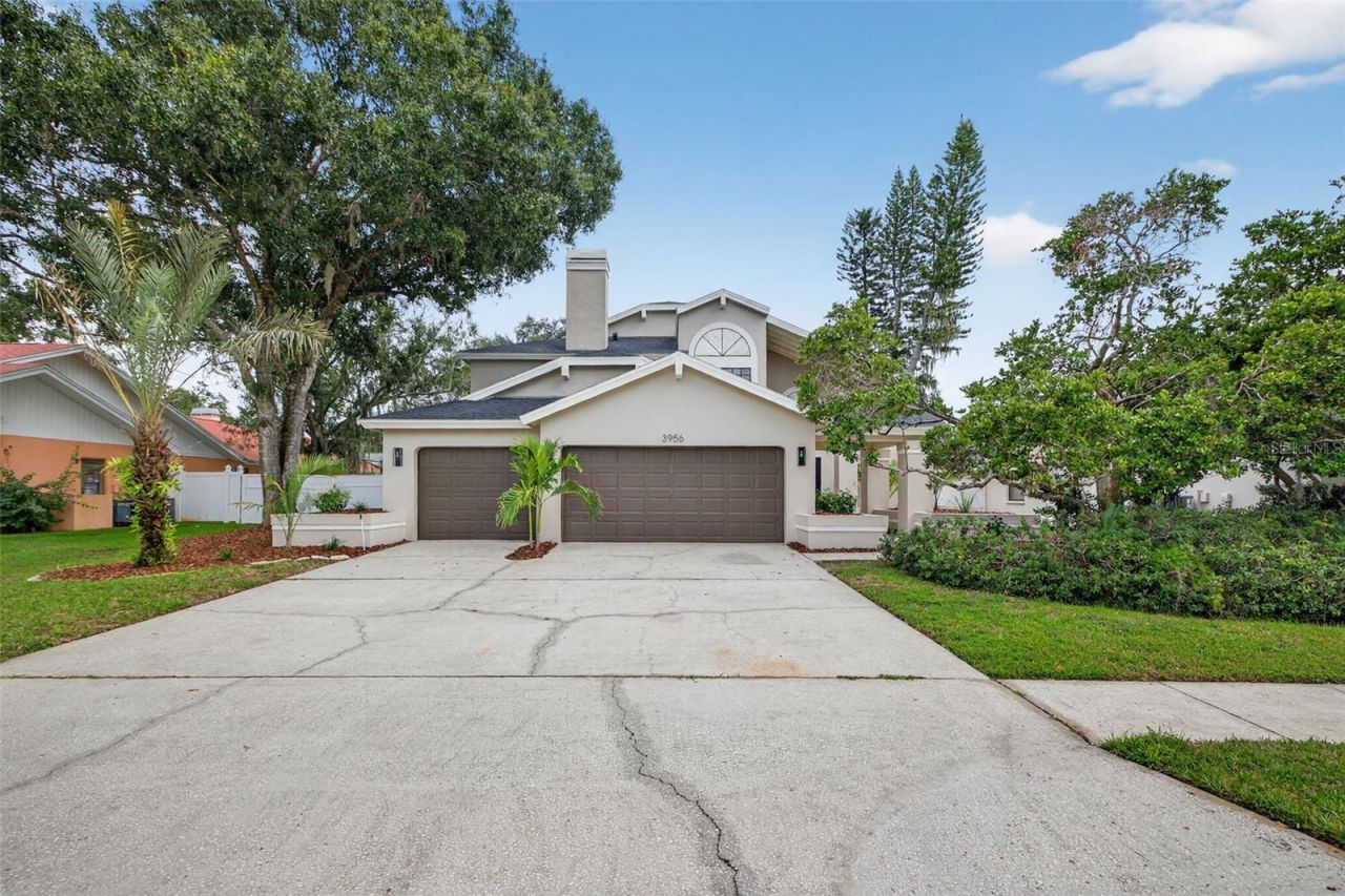 3956 Belmoor Drive, Palm Harbor, FL 34685 Photo