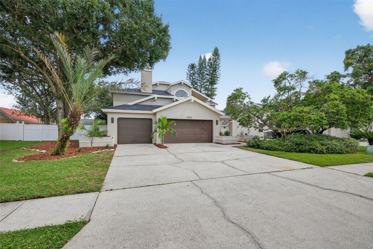 3956 Belmoor Drive, Palm Harbor, FL 34685 Photo