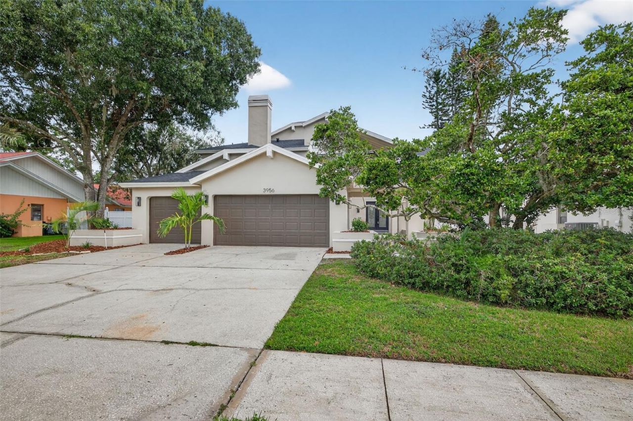 3956 Belmoor Drive, Palm Harbor, FL 34685 Photo