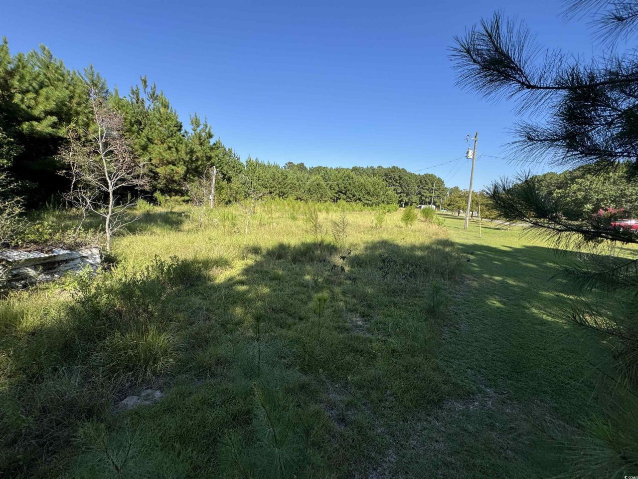 1212 Nursery Rd. Photo 10