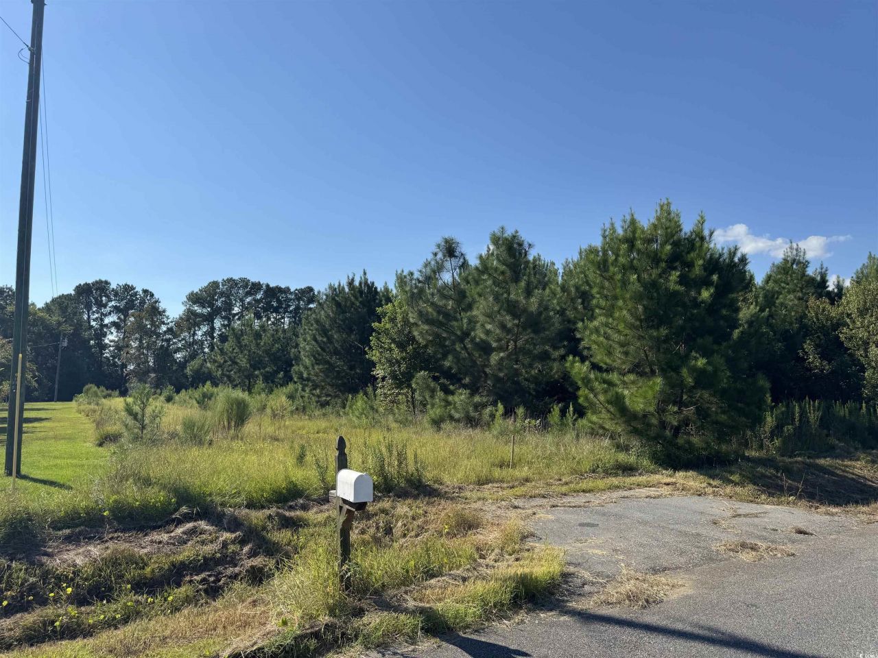 1212 Nursery Rd. Photo 12