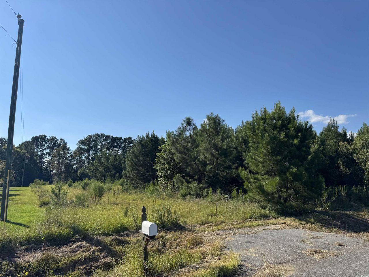 1212 Nursery Rd. Photo 13