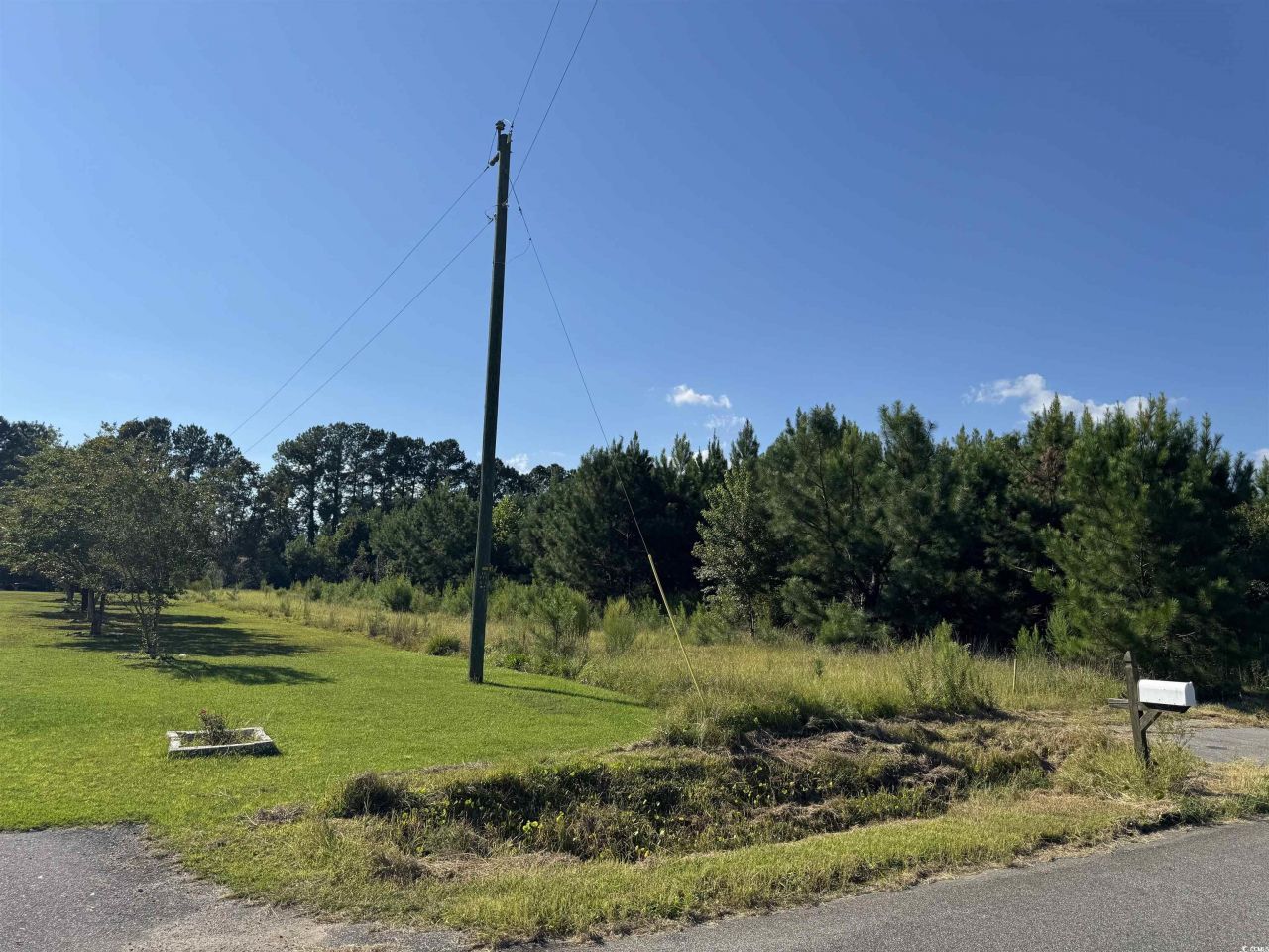 1212 Nursery Rd. Photo 14