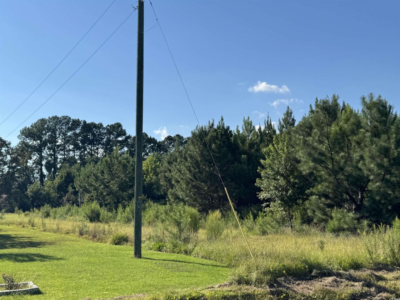 1212 Nursery Rd. Photo 15