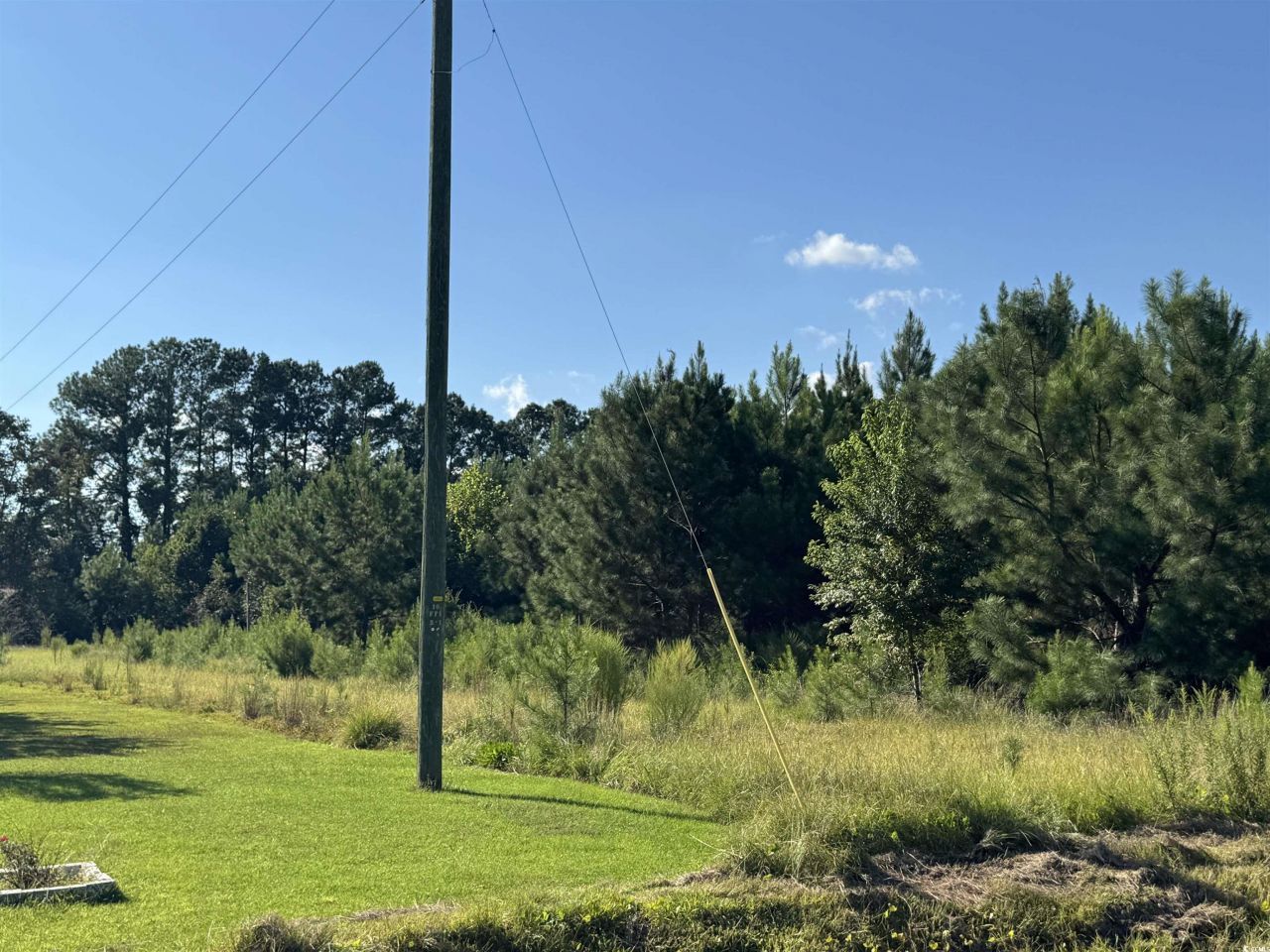 1212 Nursery Rd. Photo 16