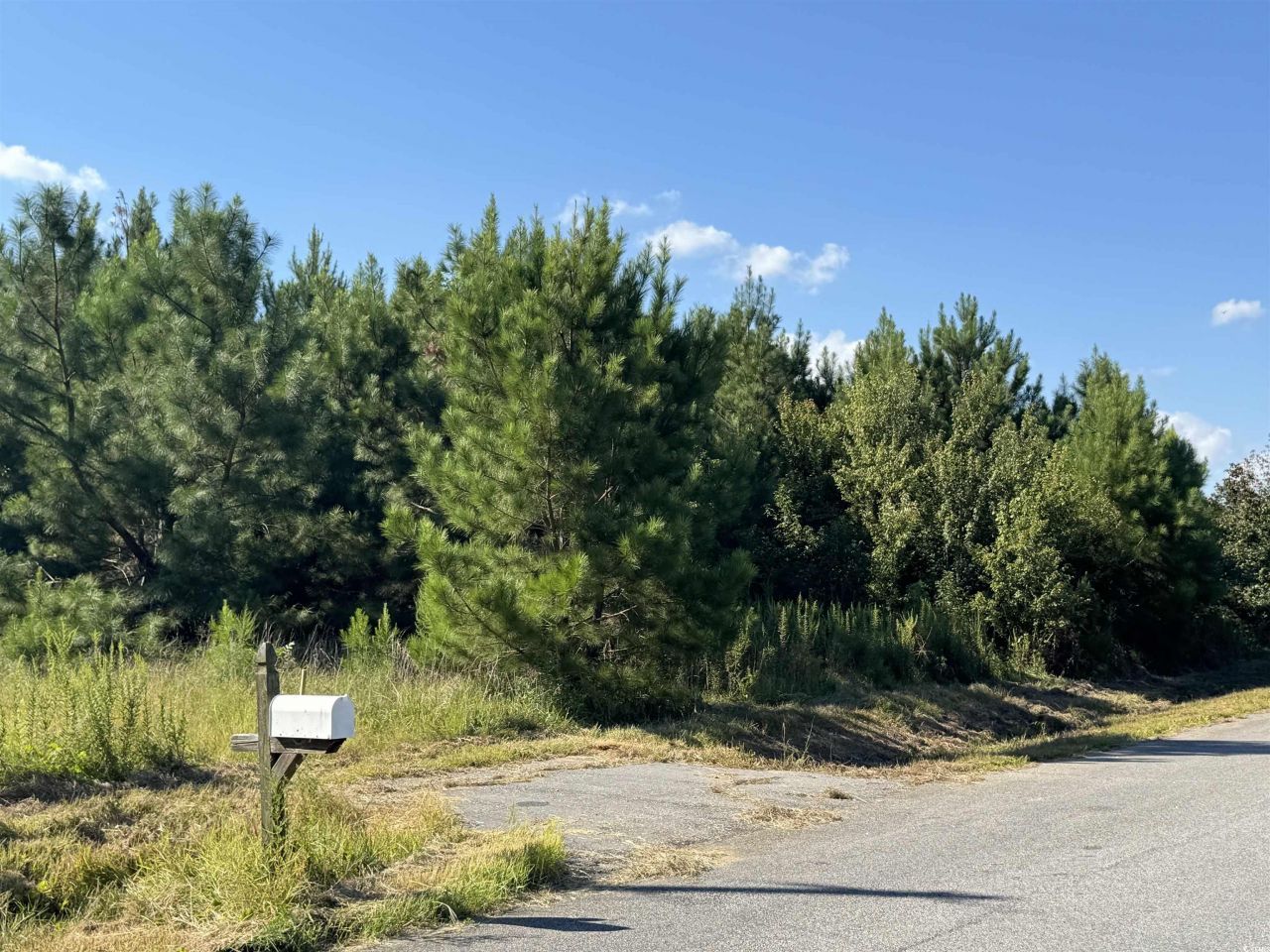 1212 Nursery Rd. Photo 17