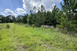 1212 Nursery Rd. photo 4