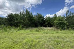 1212 Nursery Rd. photo 4