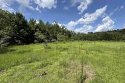 1212 Nursery Rd. photo 4