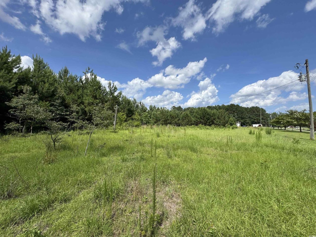 1212 Nursery Rd. Photo 5