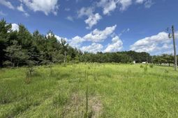 1212 Nursery Rd. photo 4