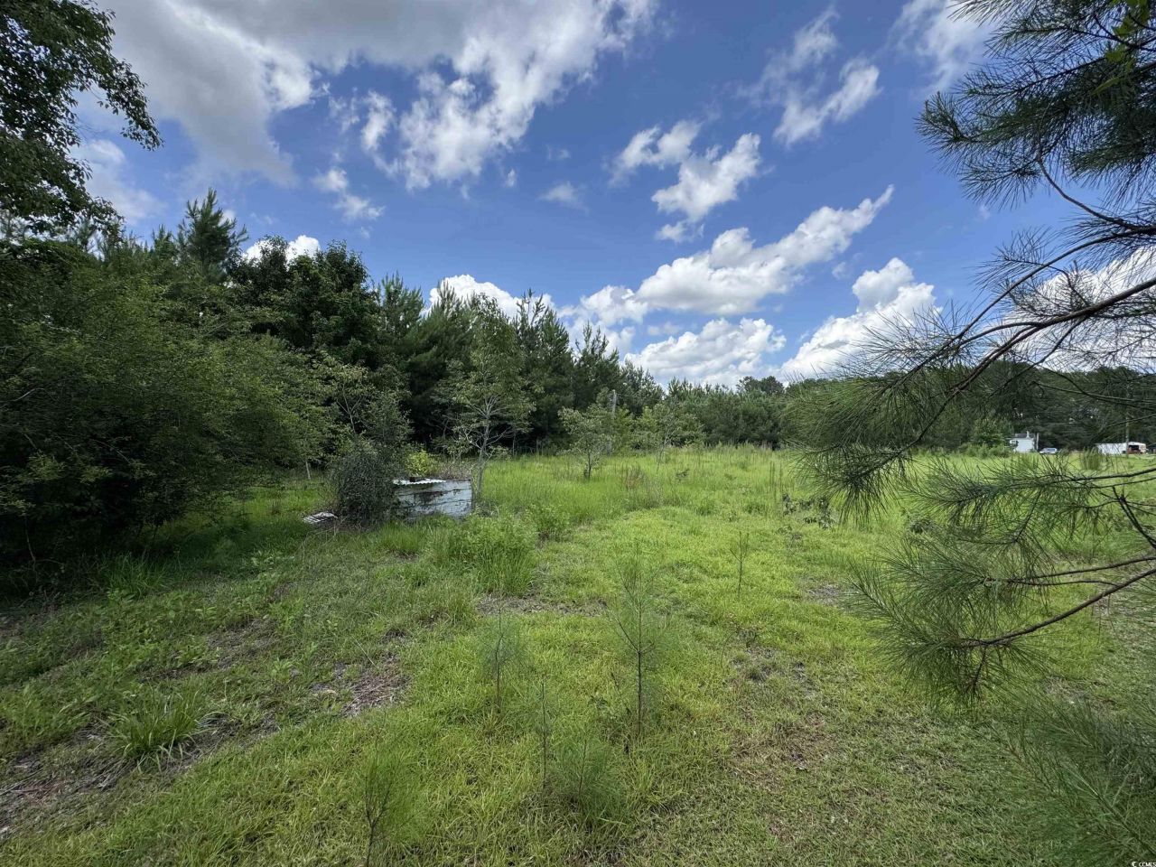 1212 Nursery Rd. Photo 6