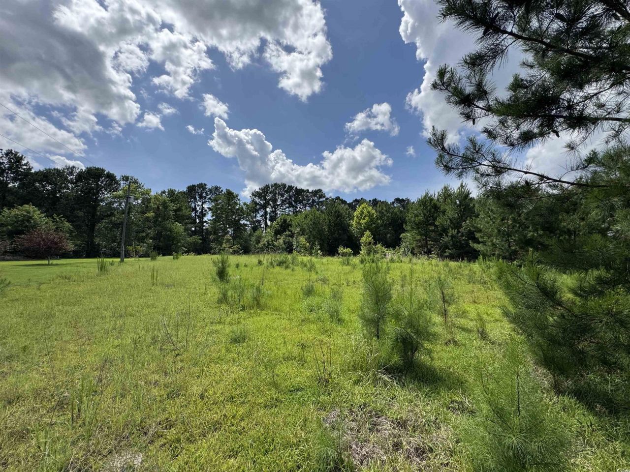 1212 Nursery Rd. Photo 7