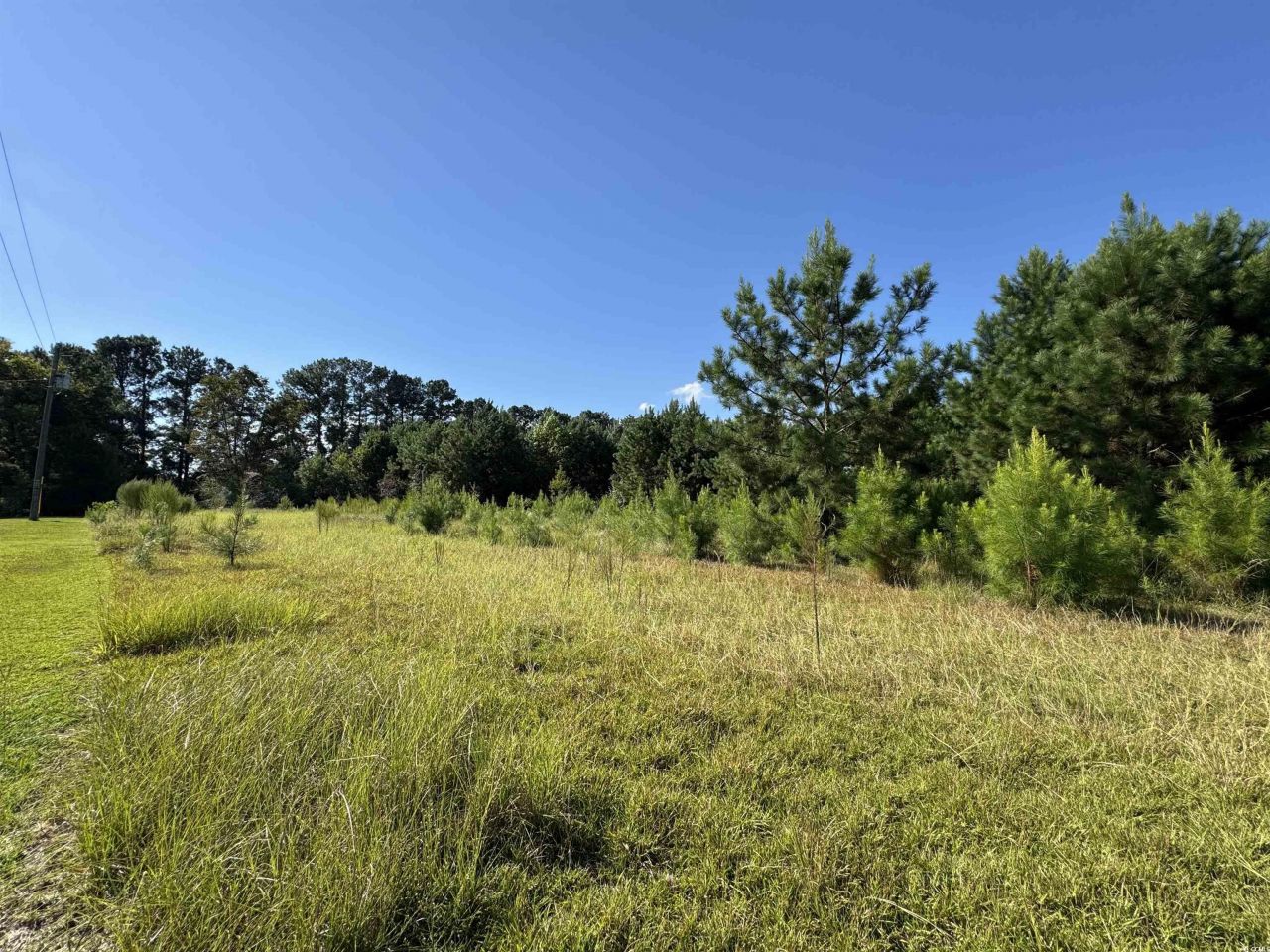 1212 Nursery Rd. Photo 8