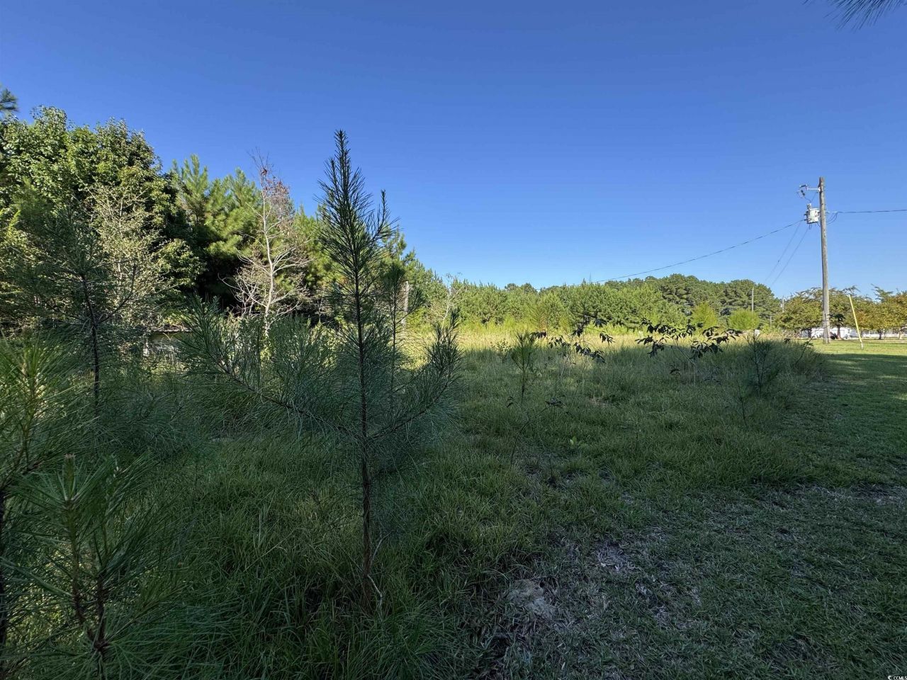 1212 Nursery Rd. Photo 9