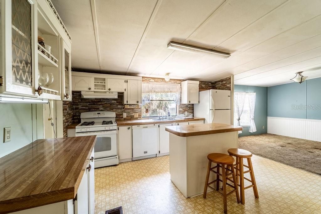 24031 Armadillo Road, Astor, FL 32102 Photo