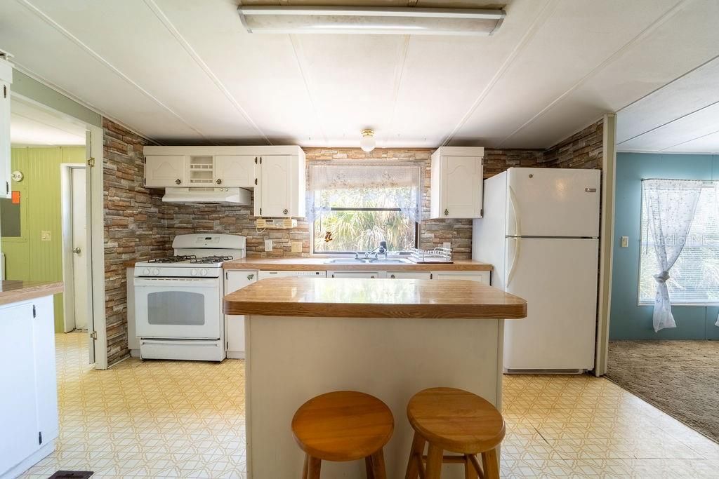 24031 Armadillo Road, Astor, FL 32102 Photo
