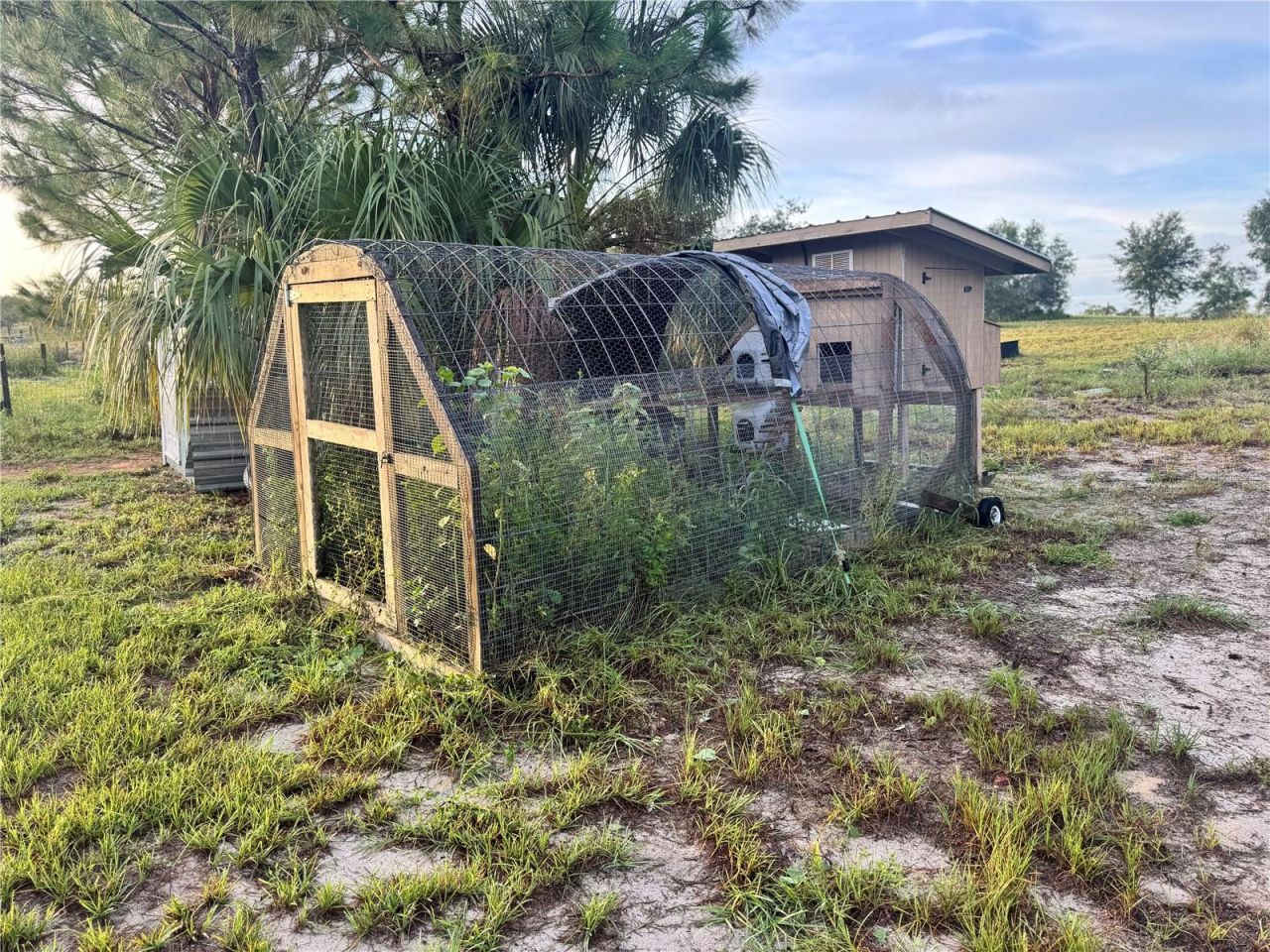 713 Sultenfuss Road, Babson Park, FL 33827 Photo