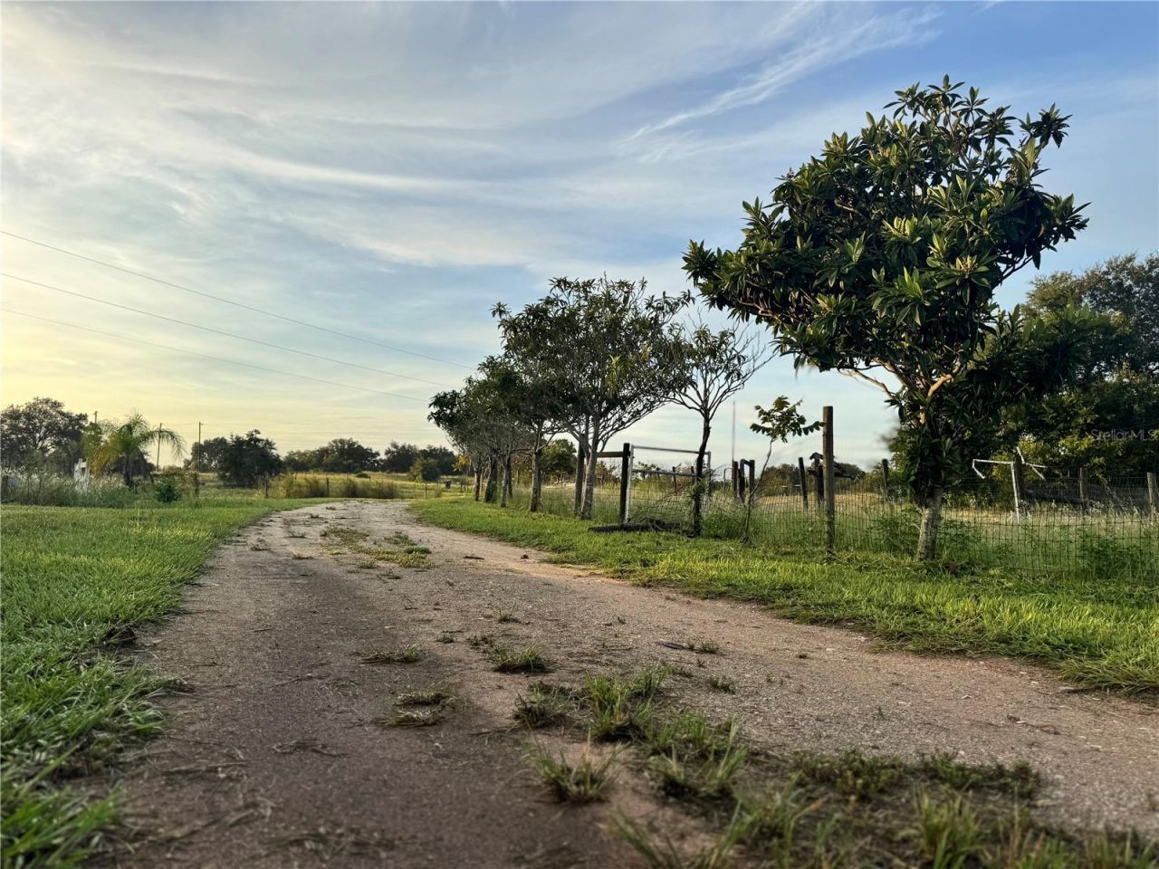 713 Sultenfuss Road, Babson Park, FL 33827 Photo