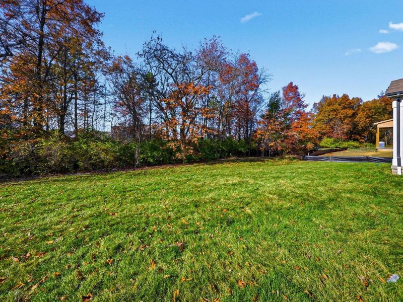 7871 Sparrow Run Drive, Plain City, OH 43064 Photo 4