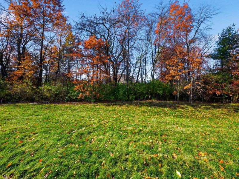 7871 Sparrow Run Drive, Plain City, OH 43064 Photo 96