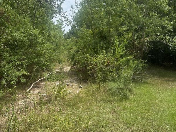 Petite St., Waveland, MS 39576