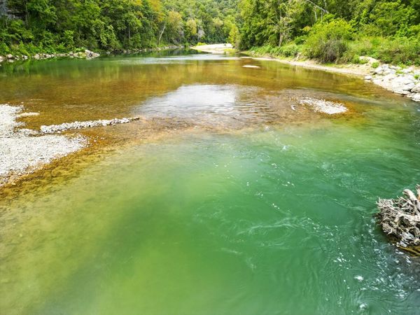 838 Alpha Drive, Brixey, MO 65618