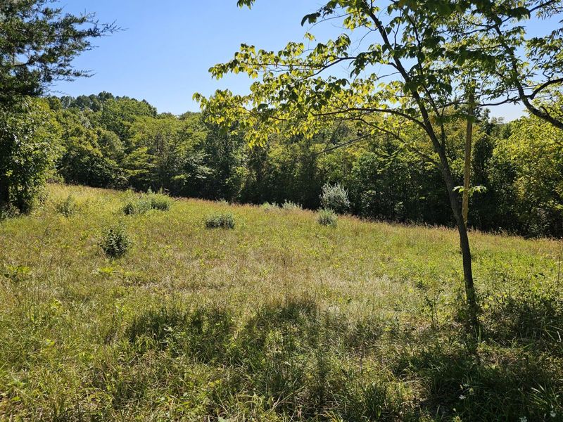 2456 KY-467, Demossville, KY 41033 Photo 1