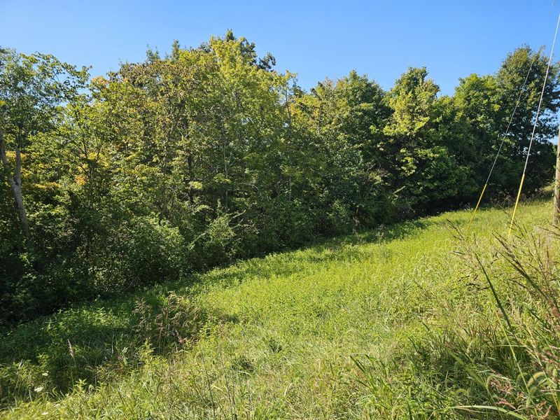 2456 KY-467, Demossville, KY 41033 Photo 5