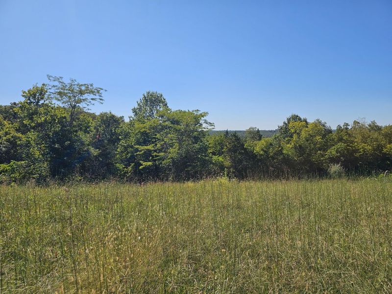 2456 KY-467, Demossville, KY 41033 Photo 7