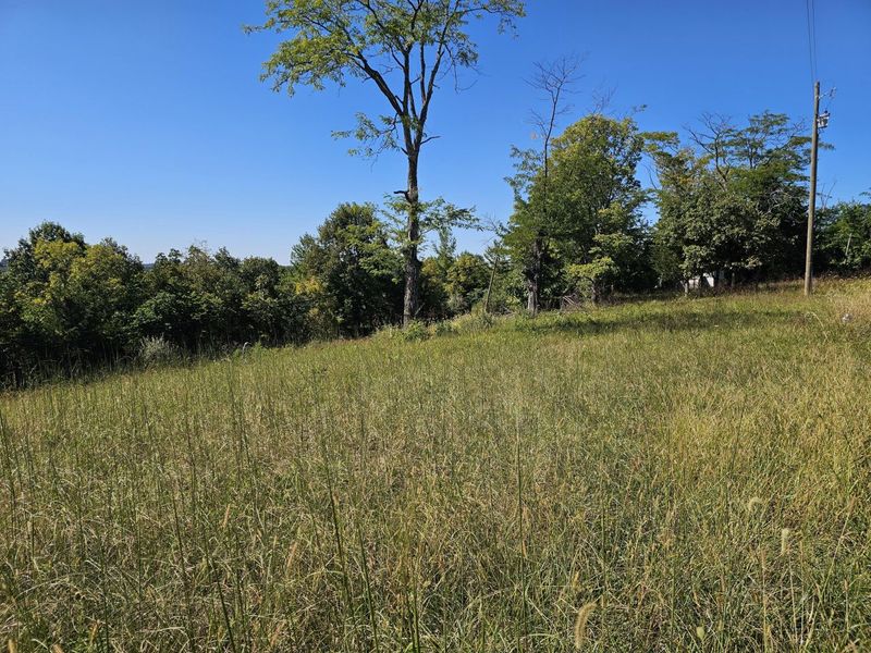 2456 KY-467, Demossville, KY 41033 Photo 8