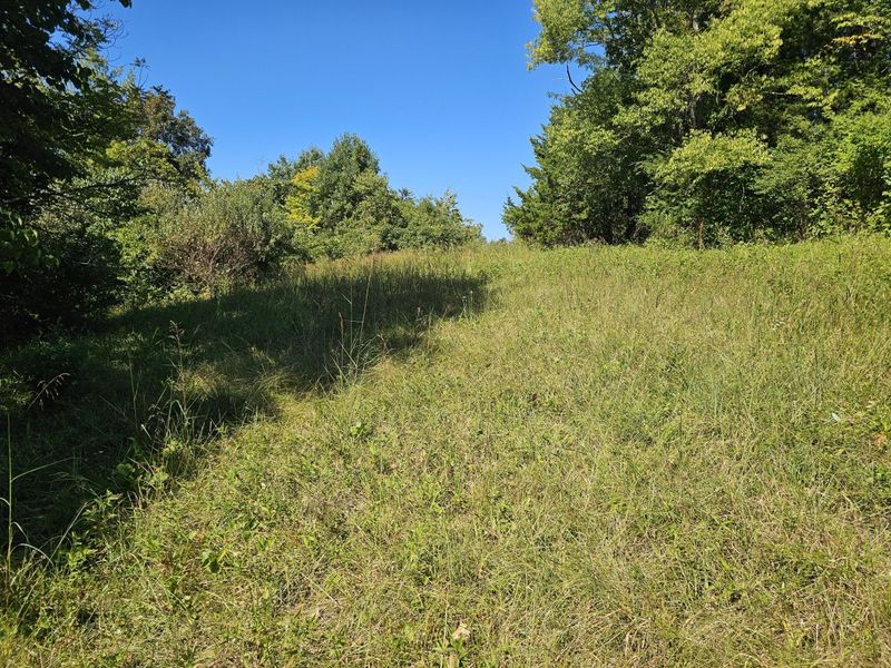 2456 KY-467, Demossville, KY 41033 Photo 9