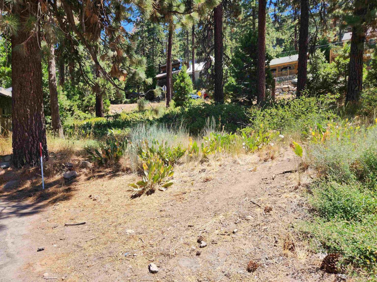 8945 North Lake Boulevard, Kings Beach, CA 96143 Photo