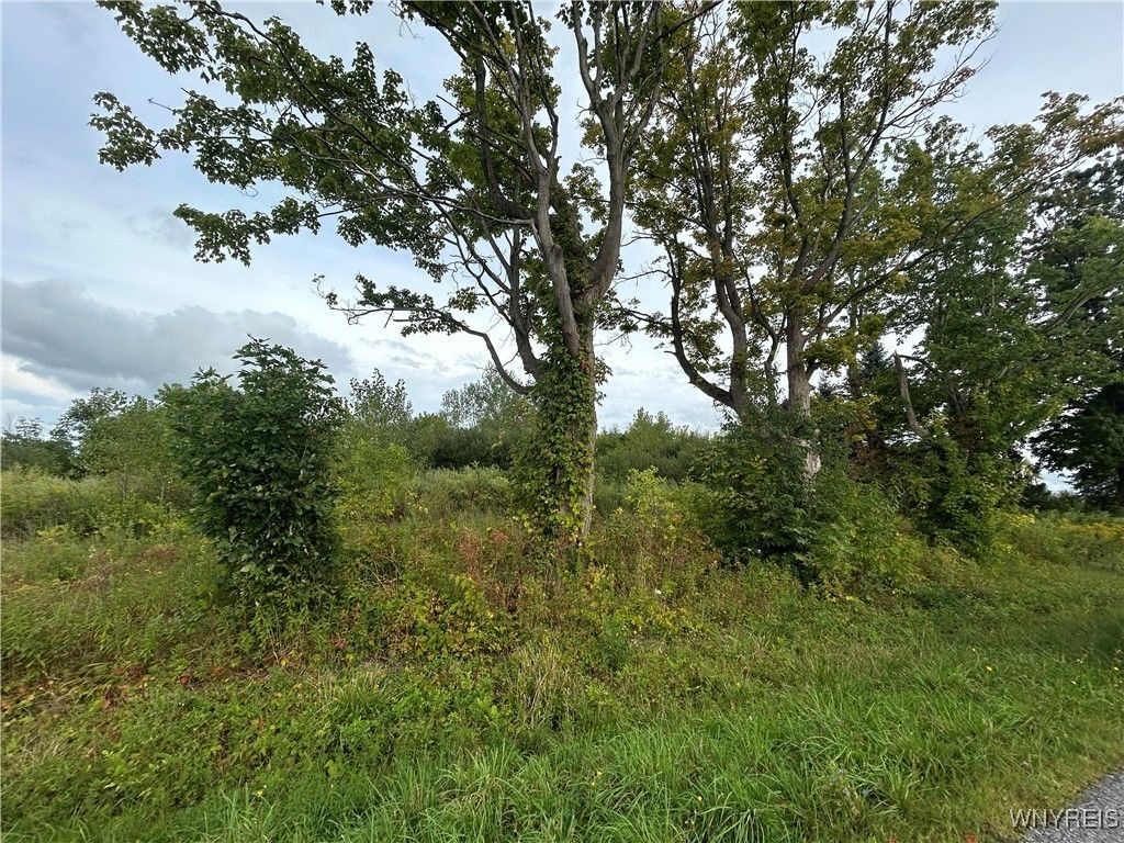 7507 Greenbush Road, Akron, NY 14001 Main Photo