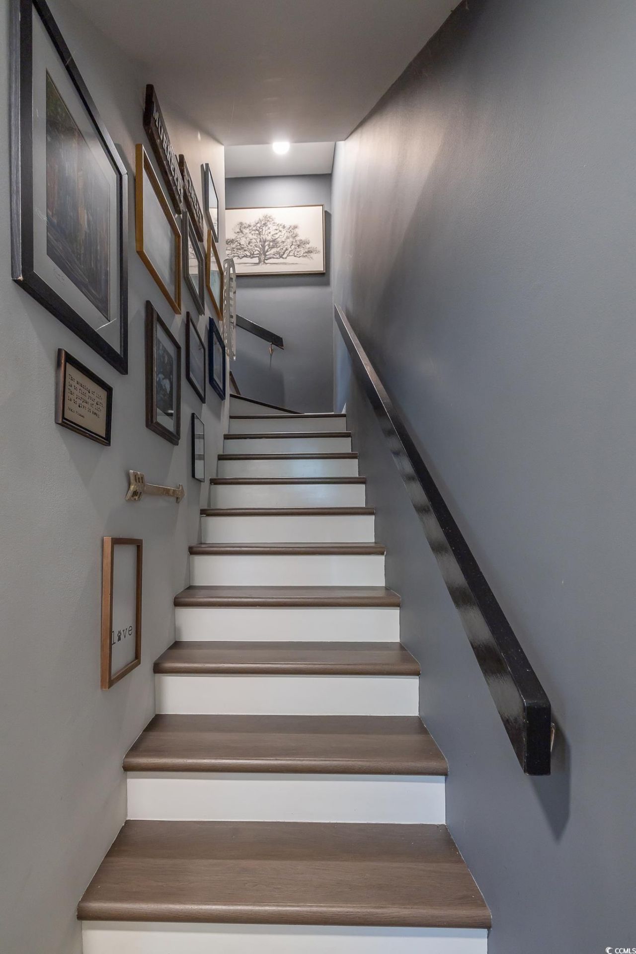 5137 Highway 17 Business Photo 15