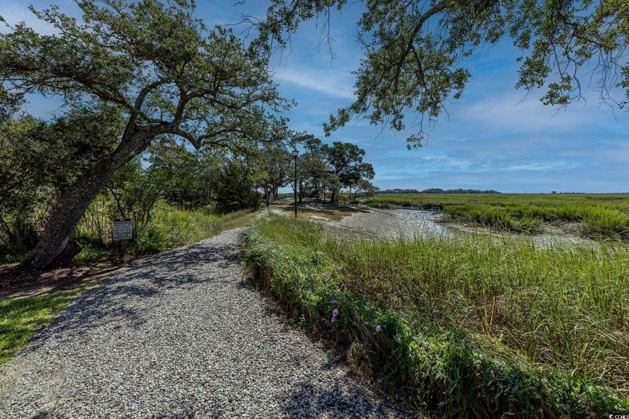 5137 Highway 17 Business Photo 6