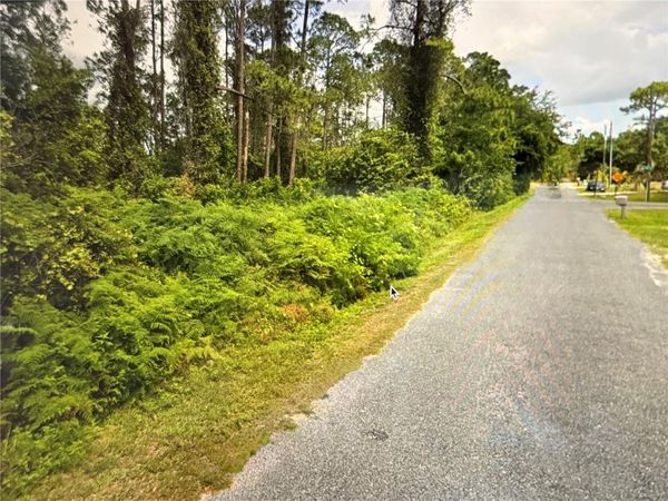 FIG LEAF STREET, ST CLOUD, FL 34769