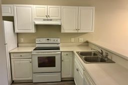 3673 Clay Pond Village Ln. photo 4