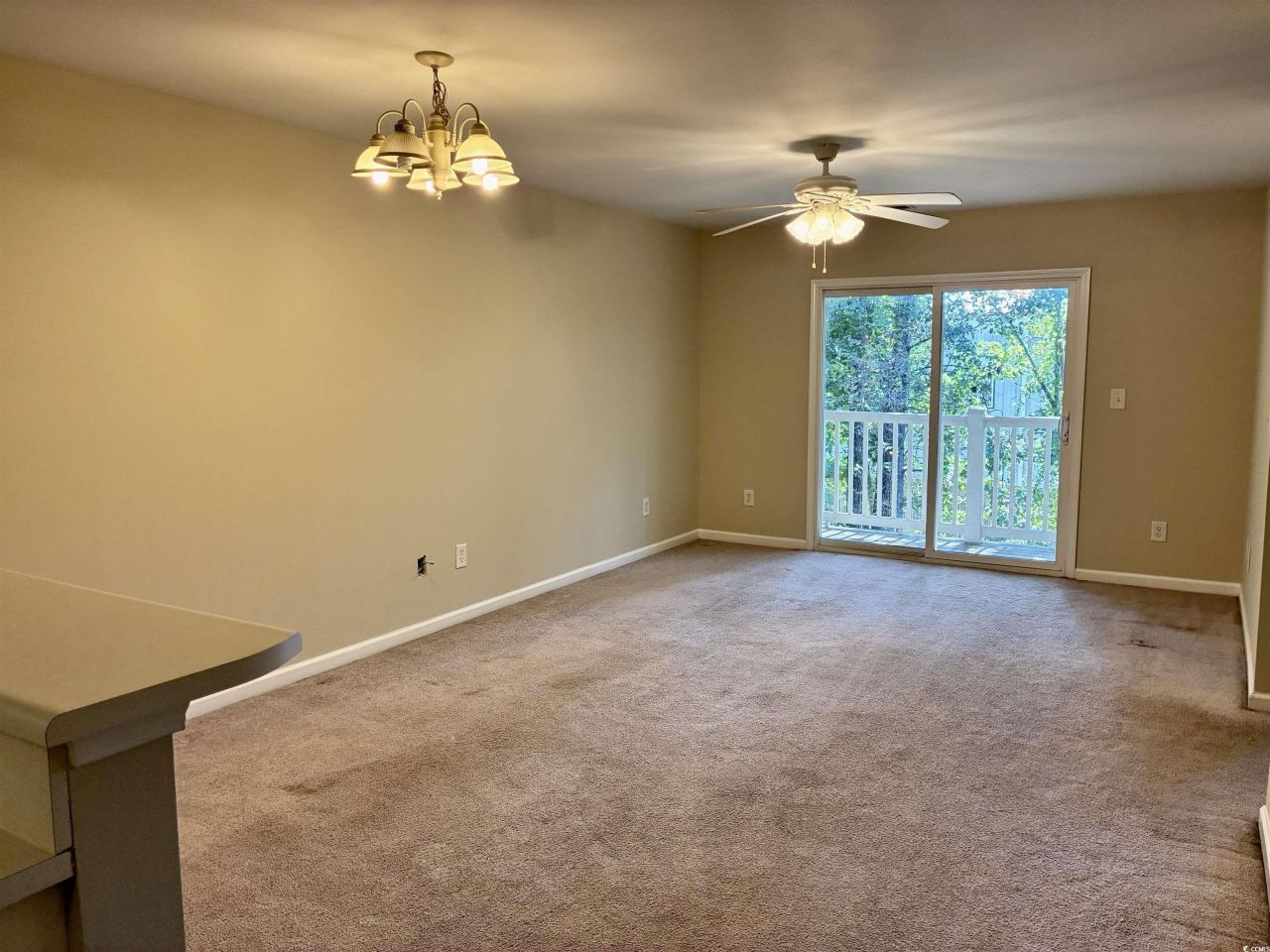 3673 Clay Pond Village Ln. Photo 7