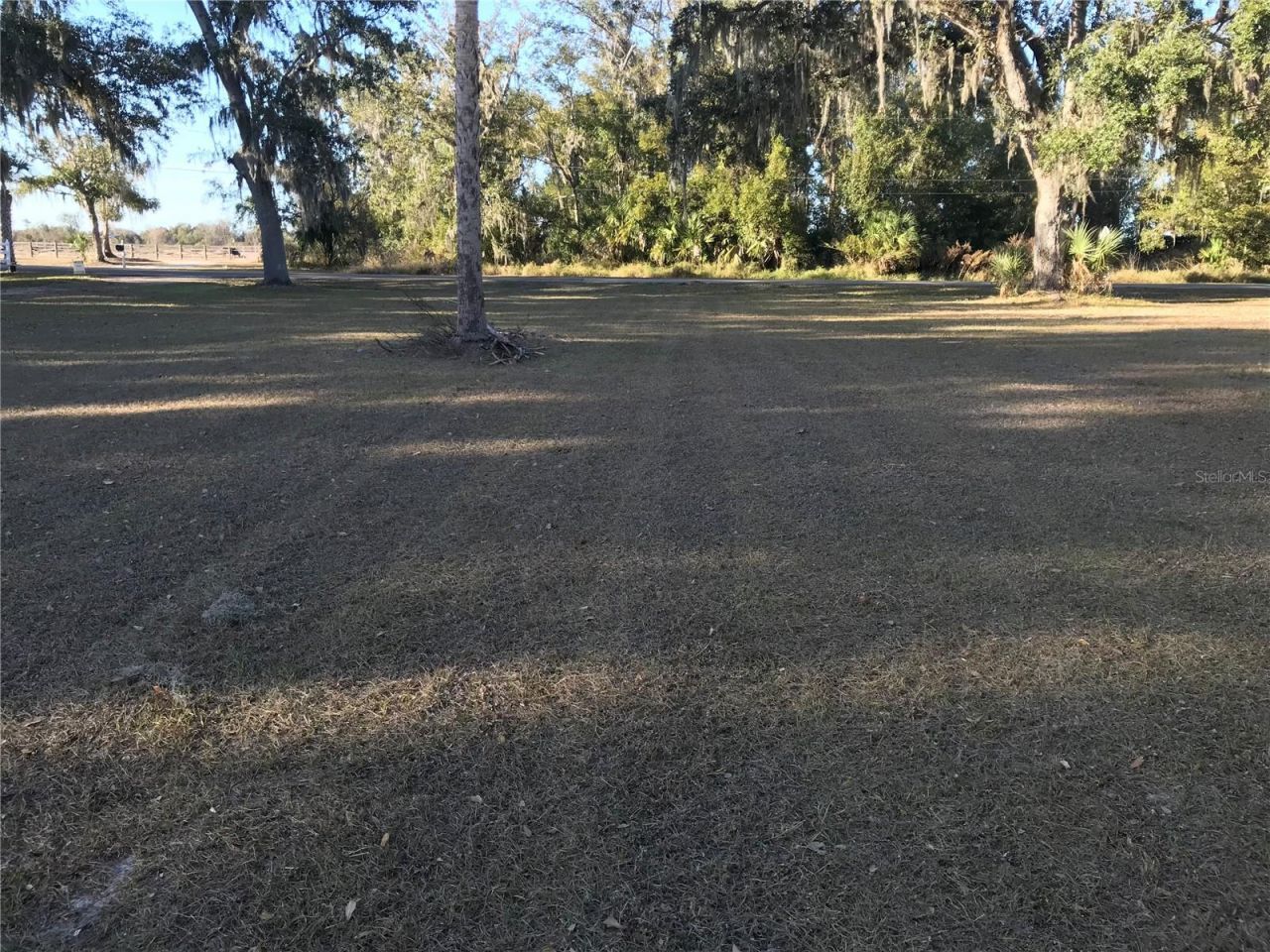 1508 N Arcadia Avenue, Arcadia, FL 34266 Photo