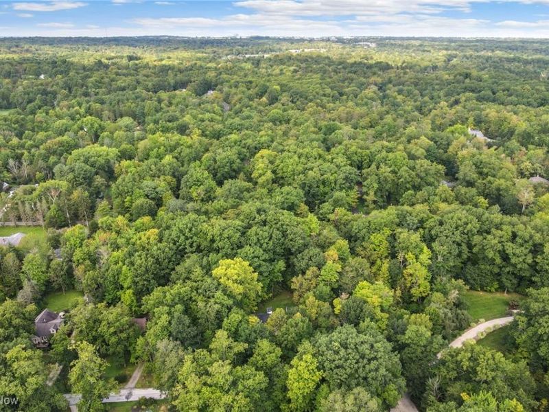 3812 Ellendale Road, Moreland Hills, OH 44022 Photo 34