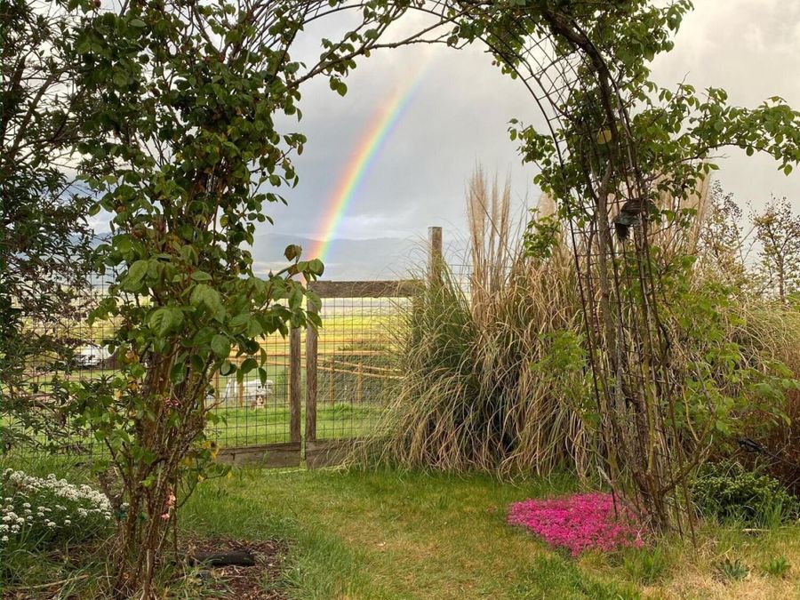 Property Image 77