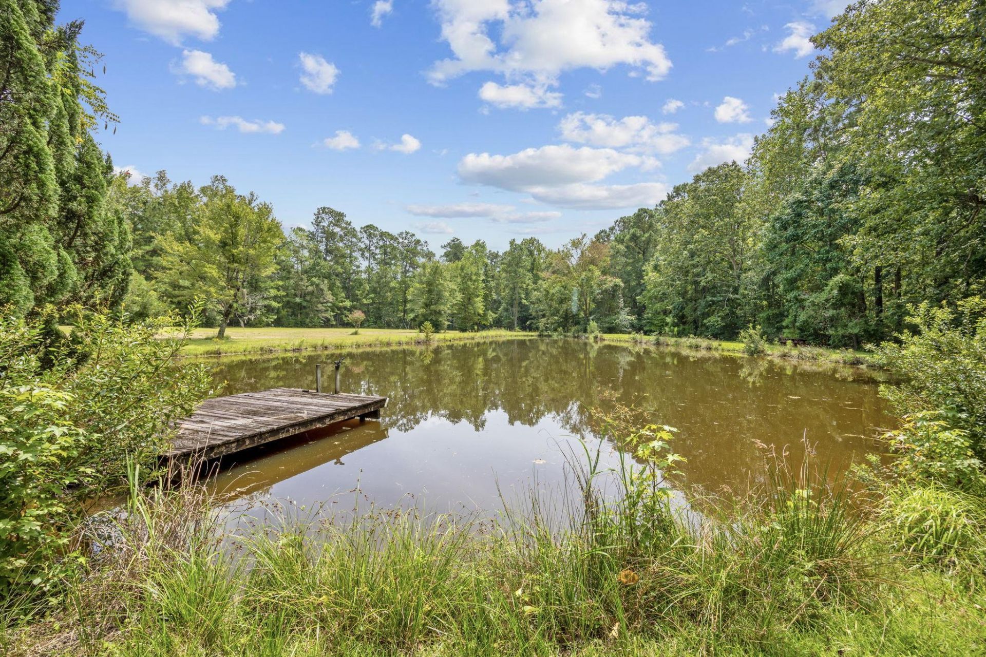 3750 Highway 813 Photo 41