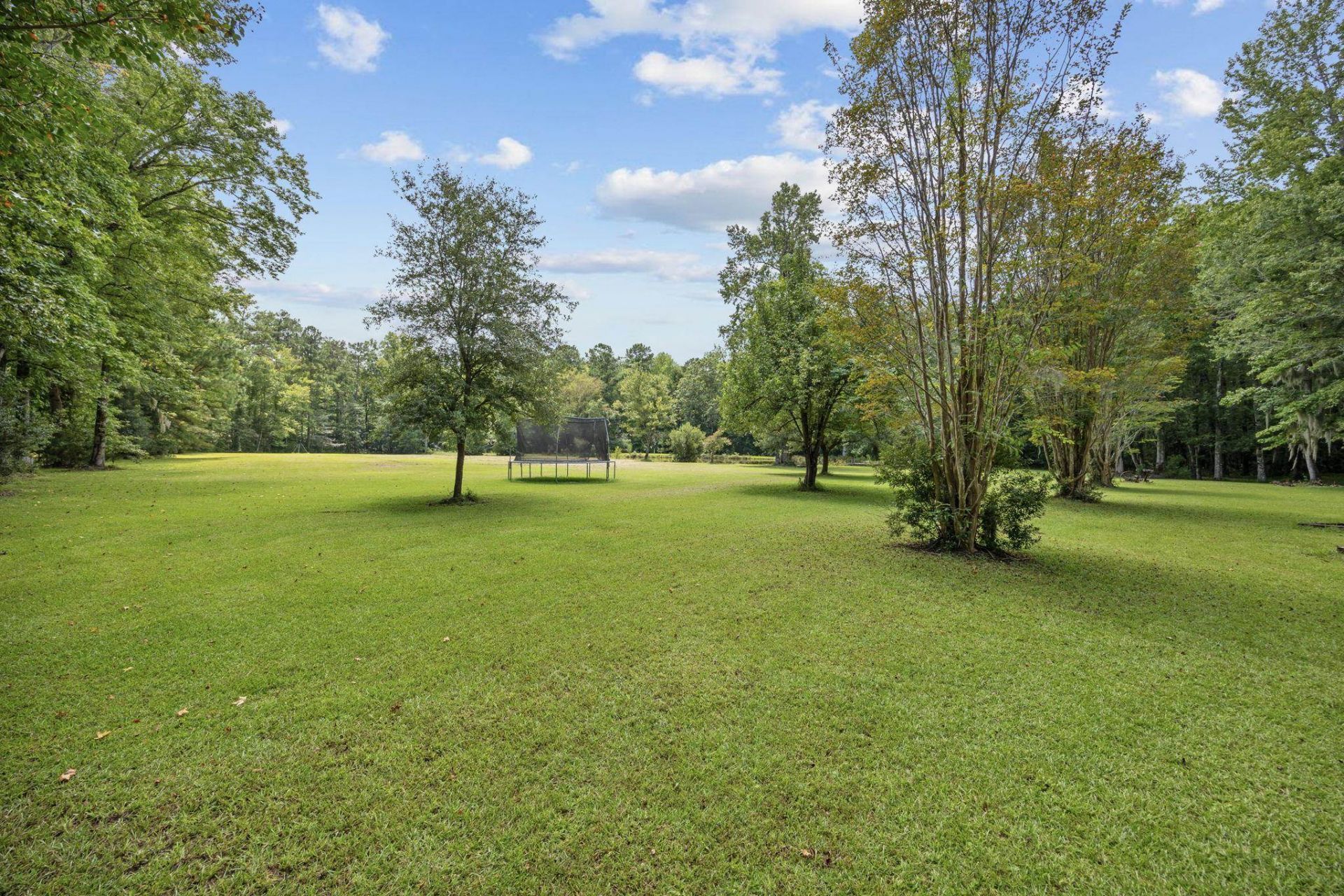 3750 Highway 813 Photo 53