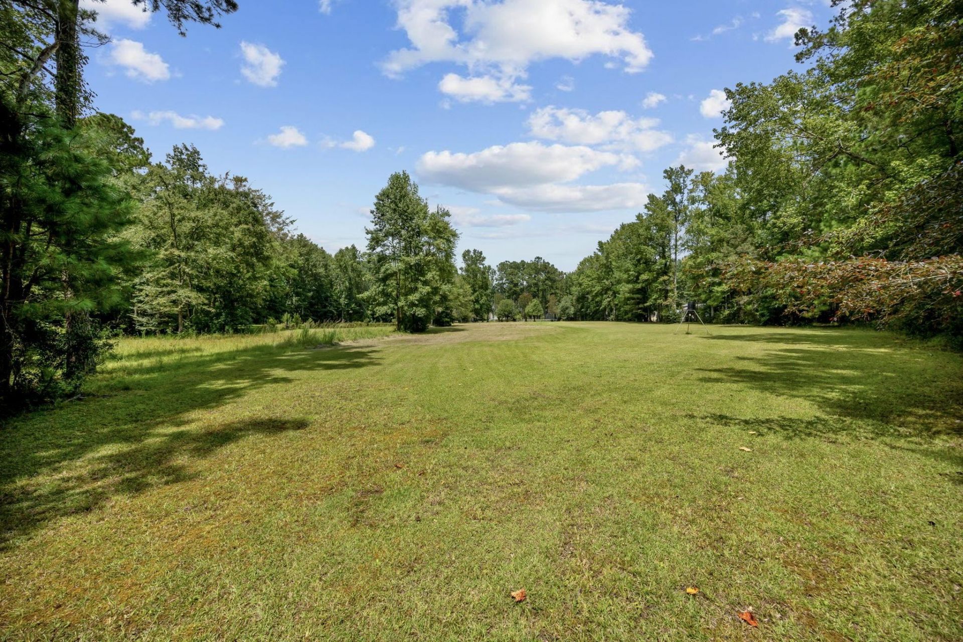 3750 Highway 813 Photo 56