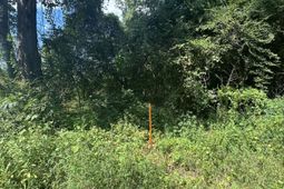 000 Beason Road photo 4