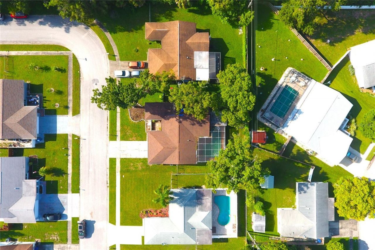 4125 Riverwood Drive, New Port Richey, FL 34653 Photo