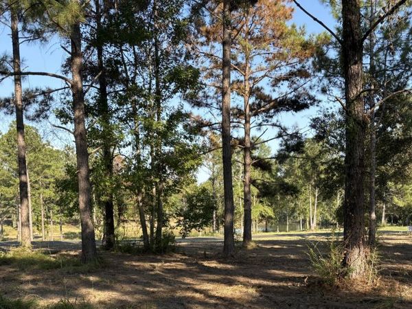 Shellcracker, Lucedale, MS 39452