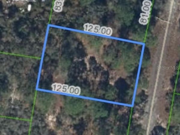 320 BLUE HEAVEN DRIVE, LAKE PLACID, FL 33852