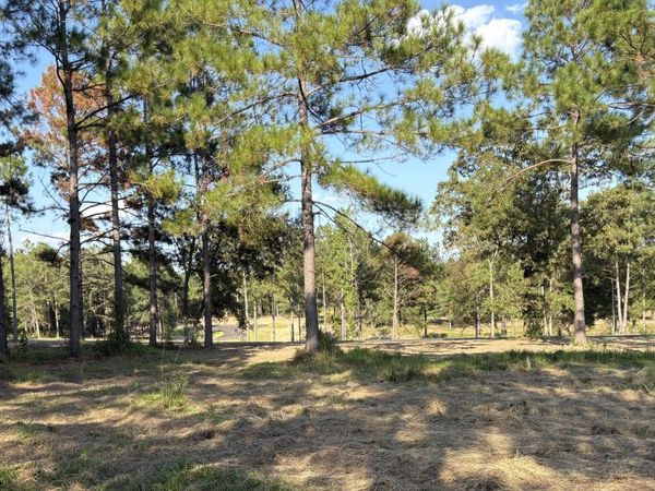 Shellcracker Drive, Lucedale, MS 39452